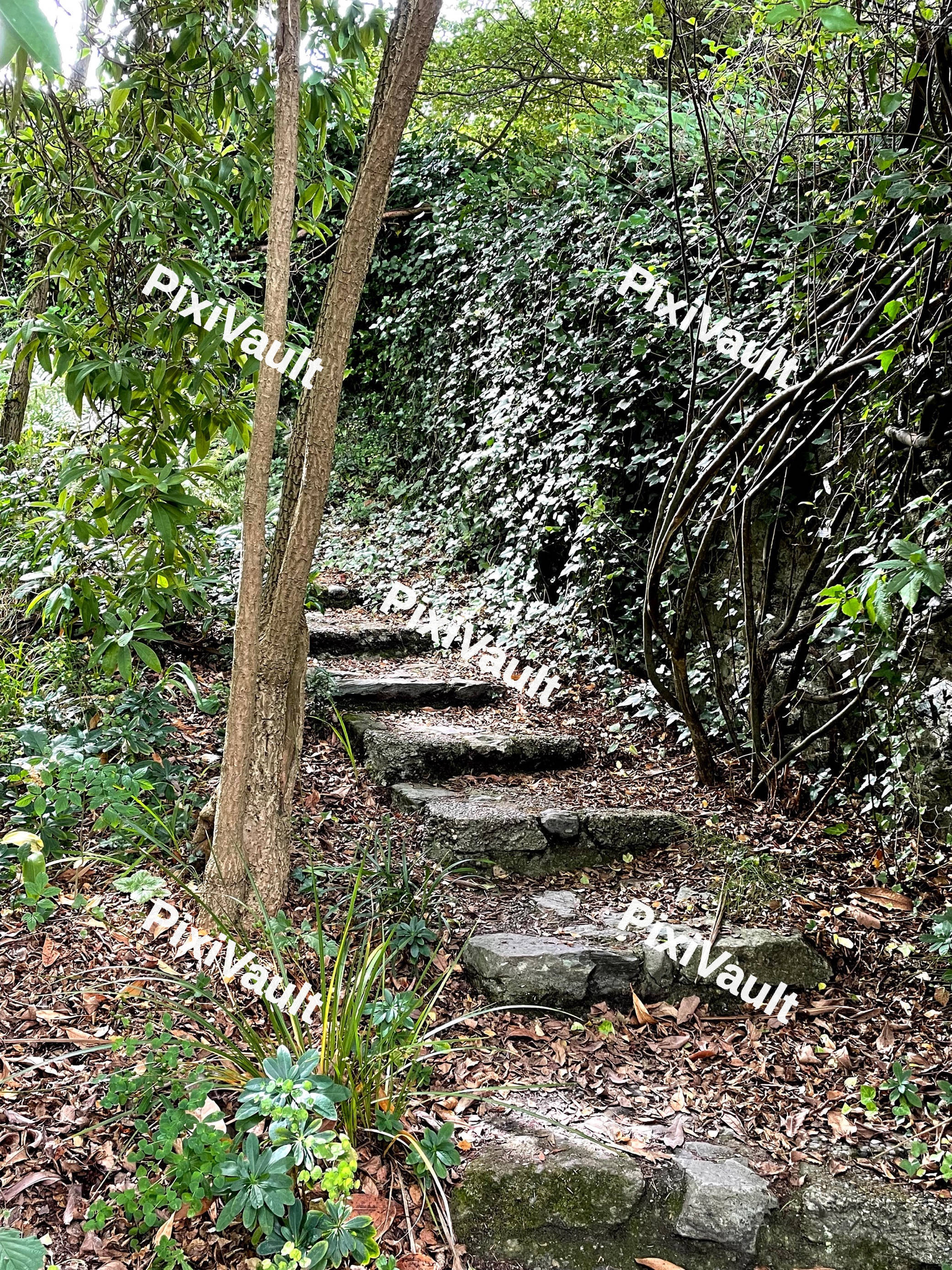 Outside Stone Steps